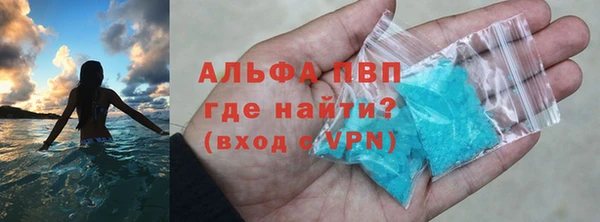 a pvp Магас