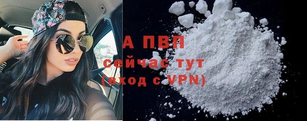 a pvp Магас