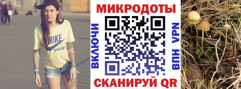 Галлюциногенные грибы Psilocybine cubensis  цены наркотик  Михайловка 