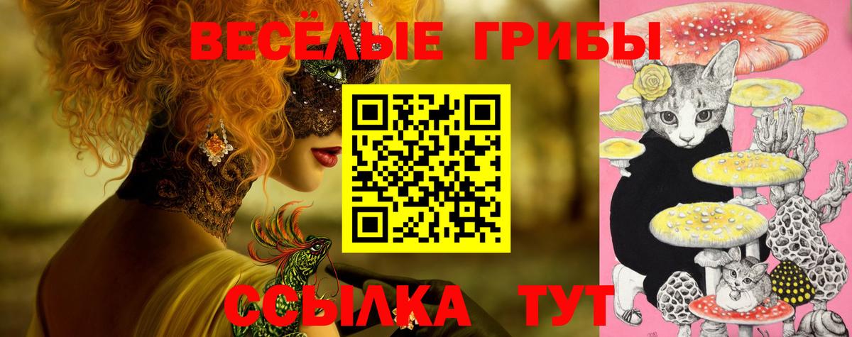 Галлюциногенные грибы ЛСД Михайловка